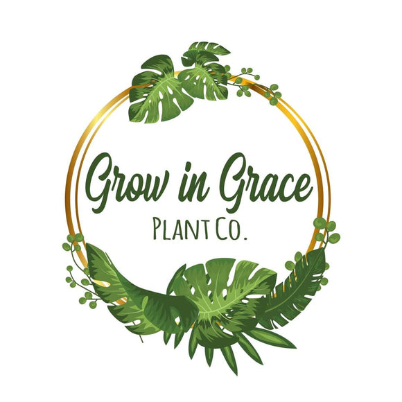 Grow in Grace Plant Co.