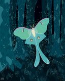 Bailey Baack Art Prints