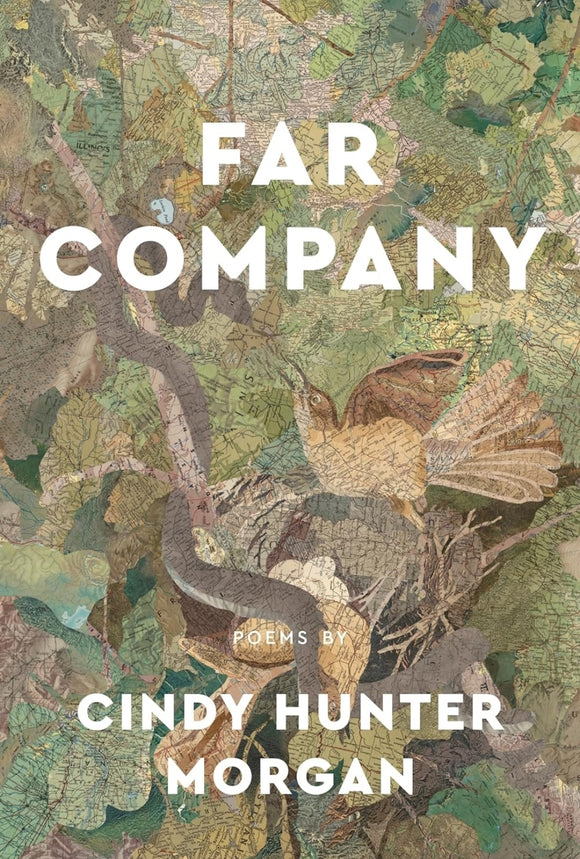 Far Company (Made in Michigan Writer Series)