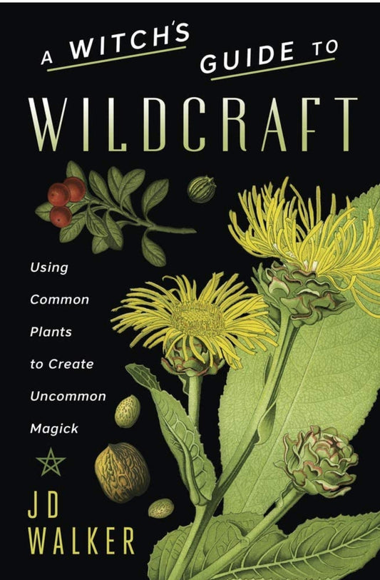 A Witch's Guide to Wildcraft: Using Common Plants to Create Uncommon Magick