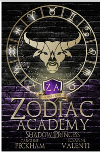 Zodiac Academy 4: Shadow Princess