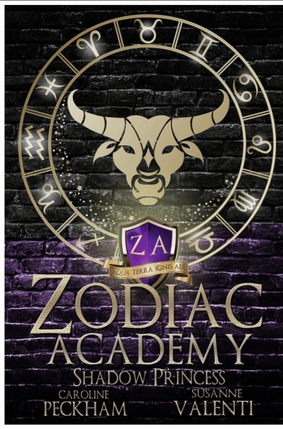 Zodiac Academy 4: Shadow Princess